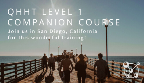 Level 1 Companion Course San Diego