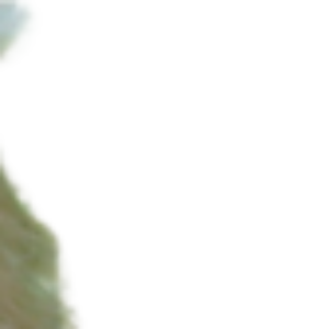 Profile photo of Jennifer Palladino